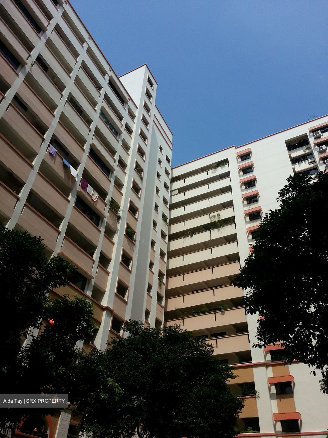 Jelapang Road (Bukit Panjang),  #608800361